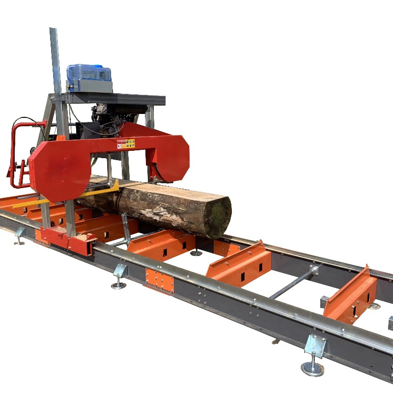 Segheria Portatile Elettrica d - Heavy Equipment Work recensione e prezzo